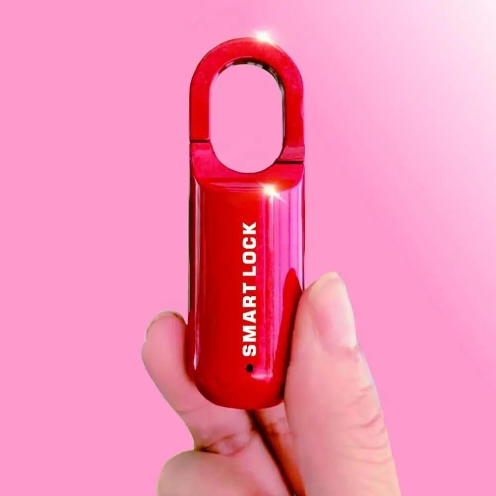 SMARTLOCK PRO - SEGURIDAD INTELIGENTE - Mi tienda